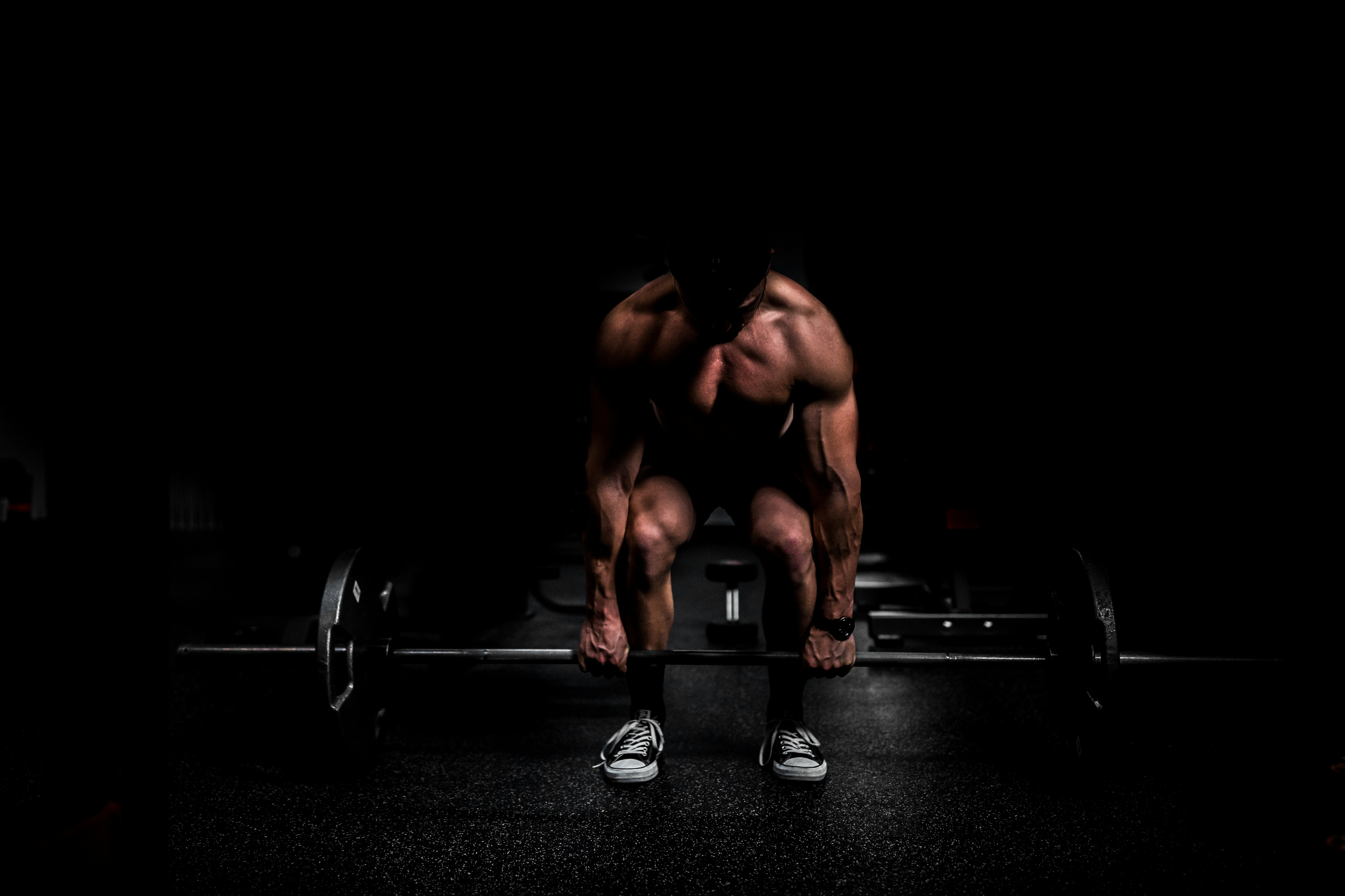 fitness gate360 software palestre